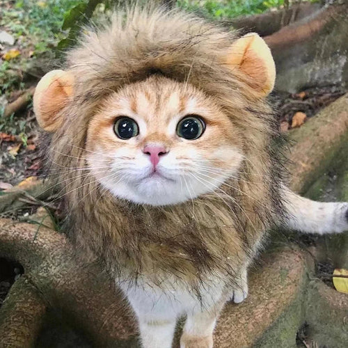 Lion Mane Cat Costume – Soft Pet Wig Hat for Cosplay, Parties & Pet Photography