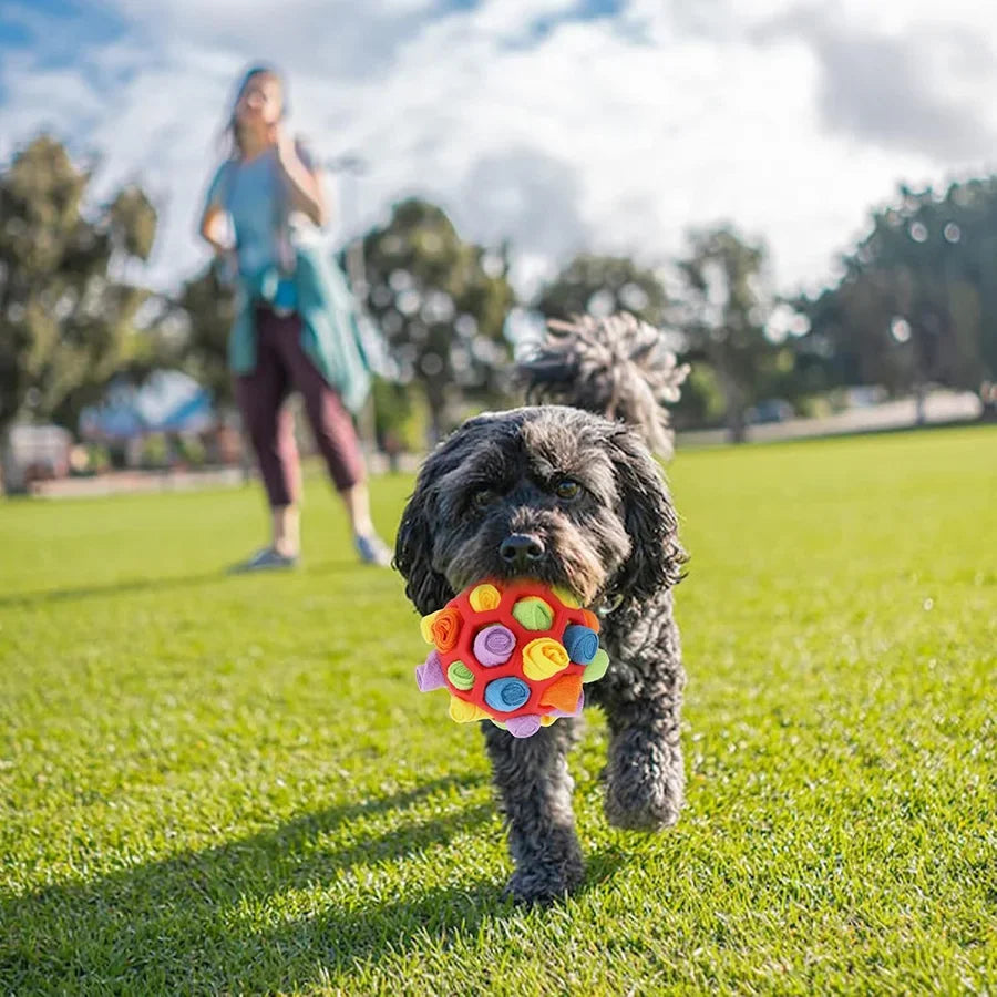Interactive Snuffle Ball for Dogs – Scent Training & Foraging Toy