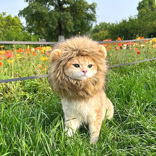 Lion Mane Cat Costume – Soft Pet Wig Hat for Cosplay, Parties & Pet Photography