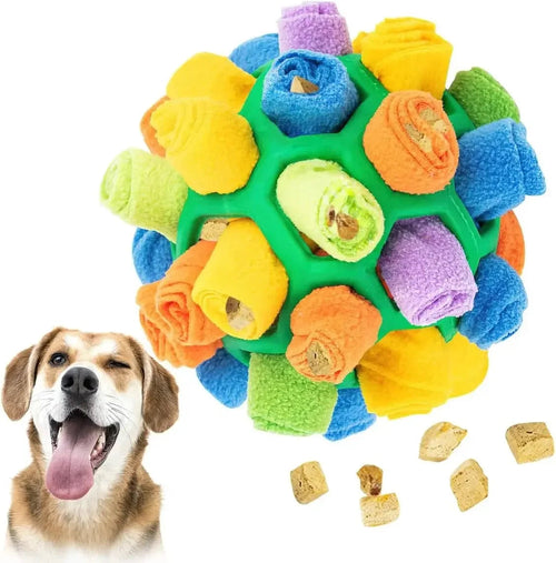 Interactive Snuffle Ball for Dogs – Scent Training & Foraging Toy